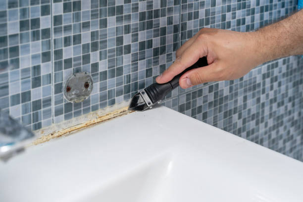 Best Mold Remediation  in Maysville, GA