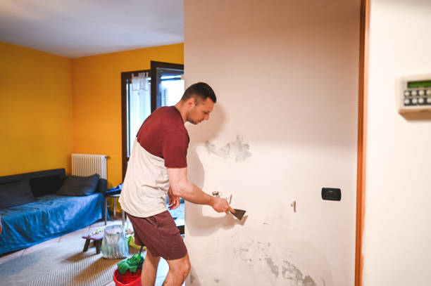 Best Commercial Mold Removal  in Maysville, GA